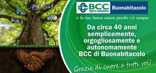 bcc-40-768x383